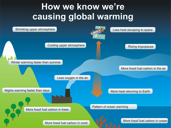 Ten indicators of a human fingerprint on climate change